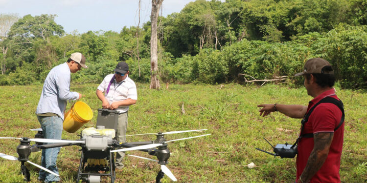 Asistencia técnica con drones beneficia a productoras de Colpetén