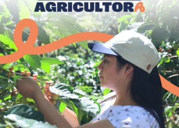 2026: Año Internacional de la Agricultora