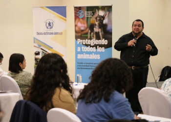 Jueces participan en taller relativo a la Ley de Protección y Bienestar Animal