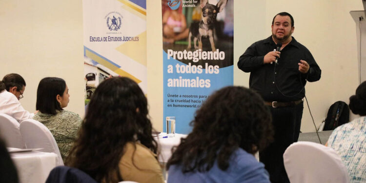 Jueces participan en taller relativo a la Ley de Protección y Bienestar Animal