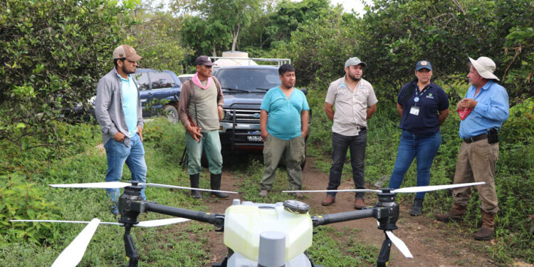 Fumigan plantación con dron agrícola