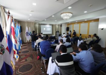 Región fortalece estrategias contra la Peste Porcina Africana