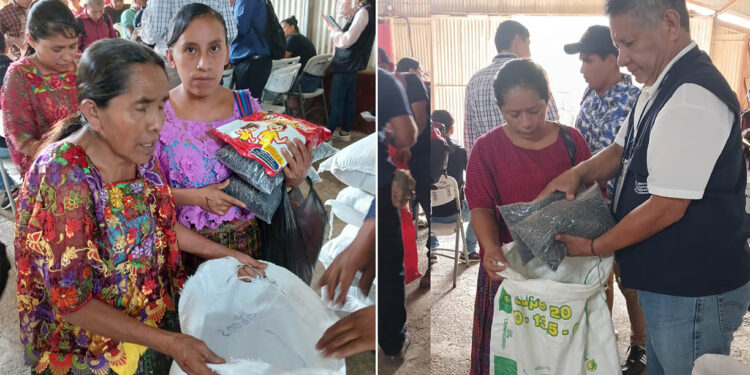 Más de 14 mil familias reciben apoyo alimentario en Alta Verapaz y Retalhuleu