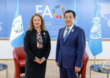 Viceministra de VISAN se reúne con el Director General de la FAO