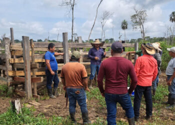 Ganaderos peteneros amplían conocimientos en sanidad bovina