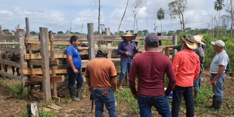 Ganaderos peteneros amplían conocimientos en sanidad bovina