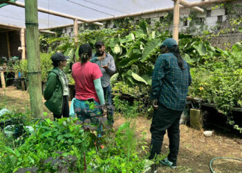 Granja Integral Agropecuaria comparte conocimientos sobre producción agropecuaria