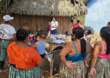 Huertos familiares fortalecerán alimentación de familias en San José Pinares