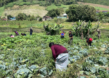 Avanzan proyectos comunitarios para incorporarse al programa APA
