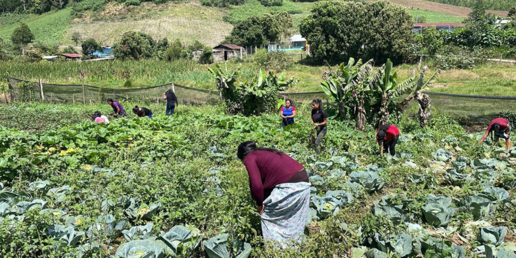 Avanzan proyectos comunitarios para incorporarse al programa APA