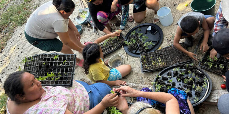 Más de 356 mil familias reciben apoyo para fortalecer su seguridad alimentaria