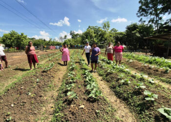 Mujeres de CADER fortalecen conocimientos del cultivo de pepino
