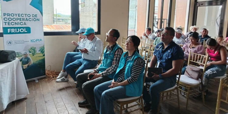 Agricultores fortalecen prácticas para proteger su salud, sus cultivos y el medio ambiente