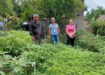 Productores de Nueva Verapaz mejoran sus huertos con asistencia técnica