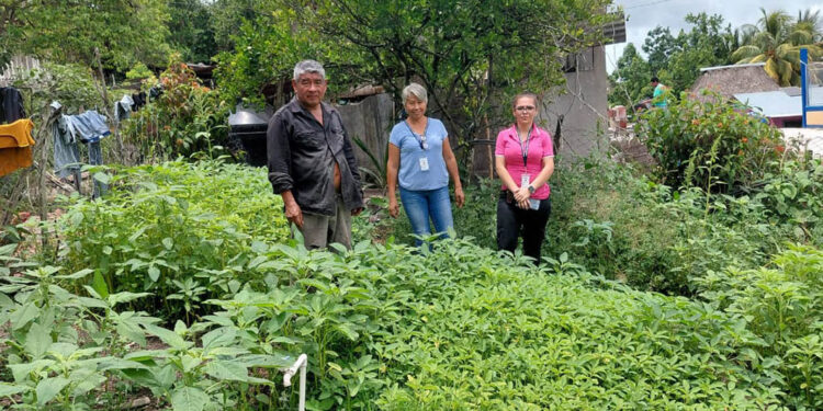 Productores de Nueva Verapaz mejoran sus huertos con asistencia técnica