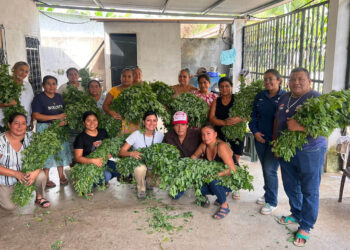 Familias fortalecen su alimentación con productos locales