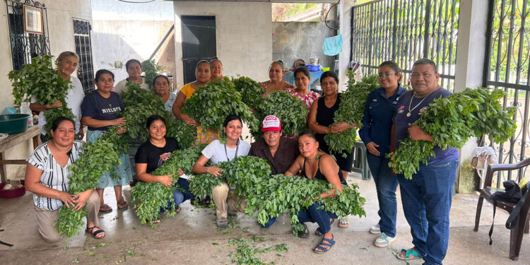 Familias fortalecen su alimentación con productos locales