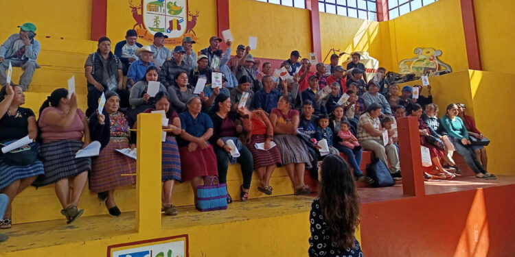 Agricultura familiar fortalece la seguridad alimentaria en San Cristóbal Cucho