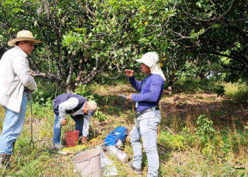 Realizan muestreo de suelos en comunidades de San Luis, Petén