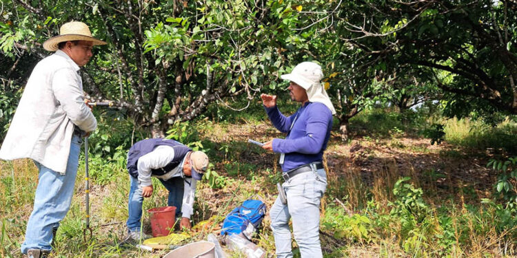 Realizan muestreo de suelos en comunidades de San Luis, Petén