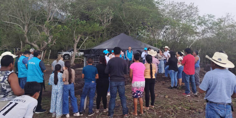 Reservorio de agua permitirá a 40 familias mantener sus cultivos durante la época seca