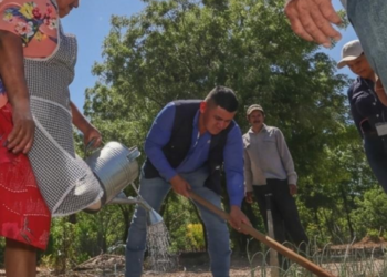 Día del Ingeniero Agrónomo y su valioso aporte al desarrollo del campo