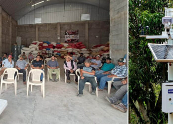 Tecnología agroclimática fortalece a pequeños caficultores de Huehuetenango