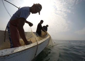 1 de julio: Día del Pescador y Acuicultor
