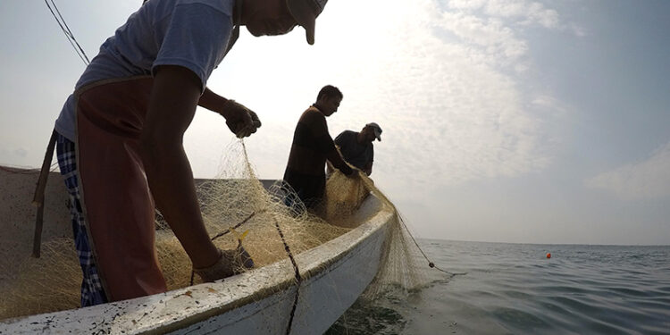1 de julio: Día del Pescador y Acuicultor
