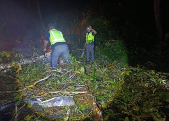 Más de 3 mil usuarios reciben apoyo de Provial durante la temporada de lluvias
