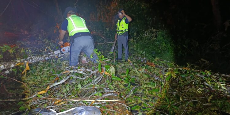 Más de 3 mil usuarios reciben apoyo de Provial durante la temporada de lluvias