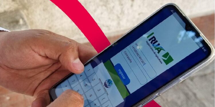 La agricultura familiar transforma vidas