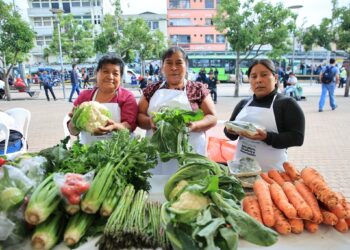 Próxima Feria del Agricultor en Villa Canales