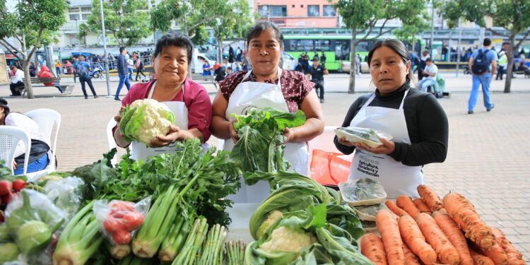 Próxima Feria del Agricultor en Villa Canales