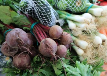 Próximamente llega la Feria del Agricultor en Granados, Baja Verapaz