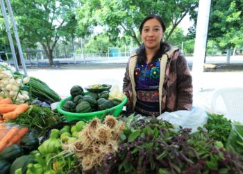 Mañana llega la Feria del Agricultor a Gualán, Zacapa