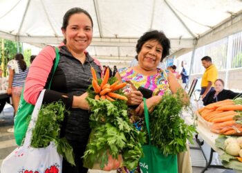 El sabor del campo llegará a las mesas de San Andrés Villa Seca en Retalhuleu