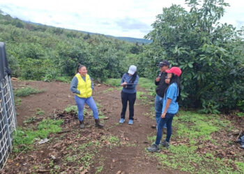 Agricultores de Chimaltenango captan agua de lluvia en reservorios para enfrentar épocas de sequía
