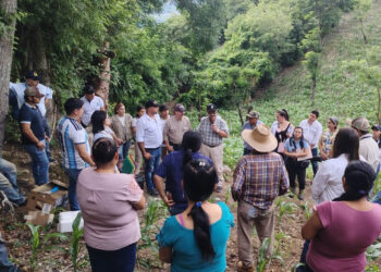 Alianza interinstitucional impulsa la productividad agrícola en Chiquimula