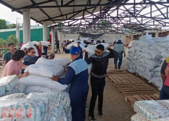 Alimentos llegarán a más de 10 mil familias
