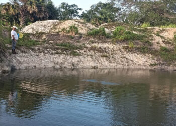 Asistencia técnica impulsa mejoras en cultivo de tilapia