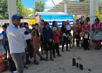 Caficultores de Olopa fortalecen sus unidades productivas con la entrega de árboles forestales y frutales