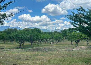 Calor requiere tomar medidas preventivas en 136 municipios