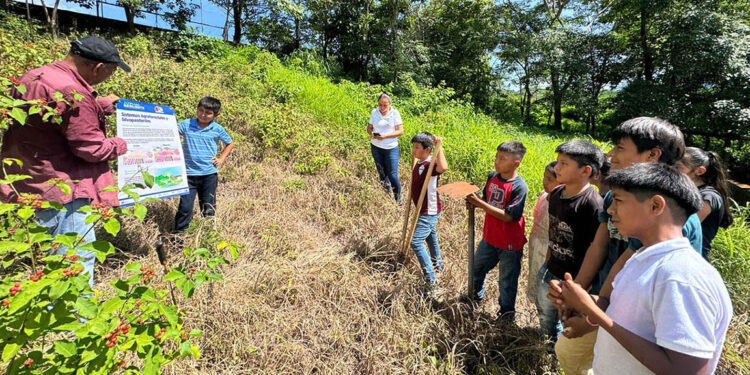 Capacitan a jóvenes de Coatepeque en conservación ambiental y siembra de huertos