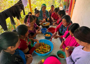 Capacitan a mujeres de Huitán en conservación de alimentos y elaboración de almíbar