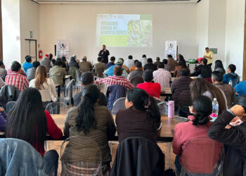 Capacitan a personal de las AMER para implementar el RUA en Quiché