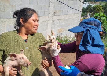 Ciencia y compromiso al servicio de la sanidad animal