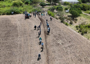 Parcela demostrativa permitirá replicar sistema Keyline en Alta y Baja Verapaz