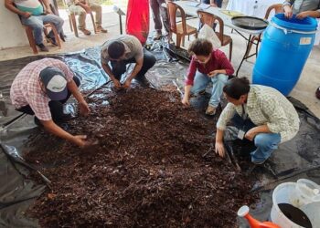 Productores recibirán conocimientos para elaborar bioinsumos agroecológicos