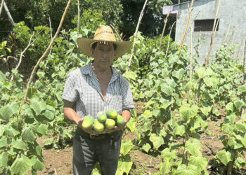 Cosecha de huerto comunal fortalece seguridad alimentaria de familias de San Francisco Zapotitlán